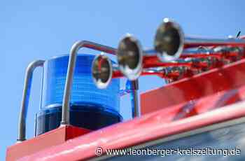 Feuer in Renningen - 89-Jähriger setzt Hecke in Brand - Leonberger Kreiszeitung