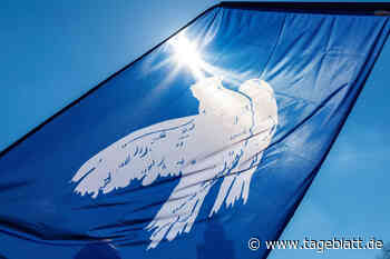 Linke demonstriert in Stade für den Frieden - Stade - Tageblatt-online