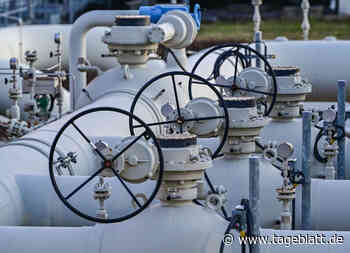 Bundesnetzagentur bereitet sich weiter auf Gasengpass vor - Landkreis Stade - Tageblatt-online