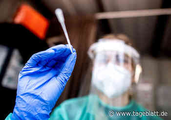 Polizei ermittelt häufiger wegen Betrugs mit Corona-Teststellen - Landkreis Stade - Tageblatt-online