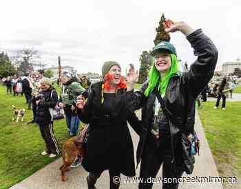 Many cannabis users aren't happy with restrictions - Dawson Creek Mirror