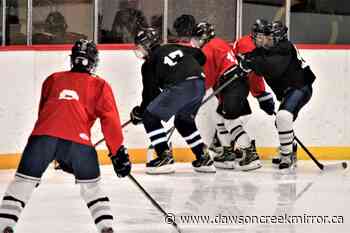 Bantam Trackers look forward to the future - Dawson Creek Mirror