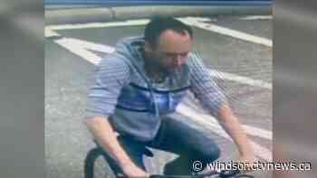 Police investigate bicycle theft in Tecumseh | CTV News - CTV News Windsor