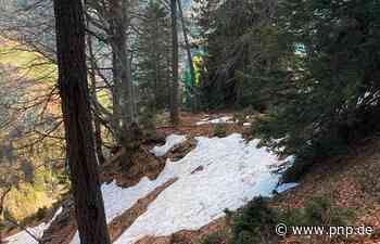 Tödlicher Gleitschirm-Absturz: Ehefrau bemerkte Unfall über GPS - Passauer Neue Presse - PNP.de
