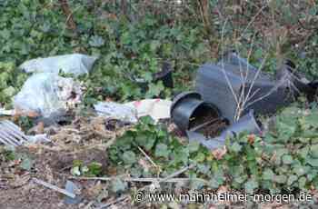 Hüttenfeld räumt auf - Lampertheim - Nachrichten und Informationen - Mannheimer Morgen