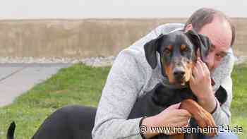 Wurde Dobermann Jamie als Welpe auf Menschen abgerichtet?