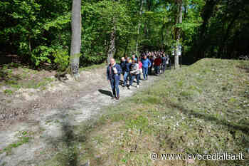 A Serralunga d'Alba il 25 aprile con la "Passeggiata Resistente" nel Bosco dei Pensieri - LaVoceDiAlba.it