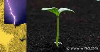 Struggling To Understand (It’s More Difficult Than Ever)