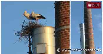 Lindau: Storchennest in Schönau abgebaut | schwäbische - Schwäbische