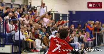 Sieg gegen Lindau: HSG Langenargen-Tettnang behauptet Rang zwei - Schwäbische