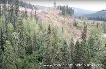 Green River assays 17.8% Mg, 0.18% Ni, 0.15% Cr at Quesnel project in BC - Canadian Mining Journal