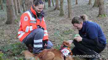 Johanna Spirkl aus Waldkraiburg trainiert mit ihrer Chaili für die Rettungshundestaffel