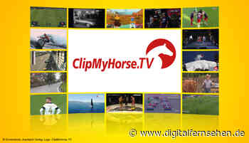 ClipMyHorse TV: Pay-TV-Spartensender vorgestellt - DIGITAL FERNSEHEN - Digitalfernsehen.de