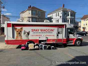 Fall River Animal Control, Animal Rescue League, hosting free voucher day to spay, neuter cats, dogs - Fall River Reporter