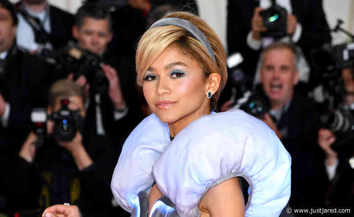 Zendaya Is Skipping Met Gala 2022 - Here's Why