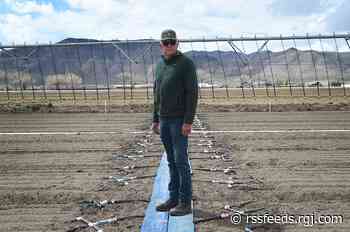 The Sierra snowpack is threatened by climate change. Nevada farmers already feel the effects