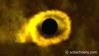 Stellar Devastation on a Massive Scale: Black Holes Destroy Thousands of Stars To Fuel Growth