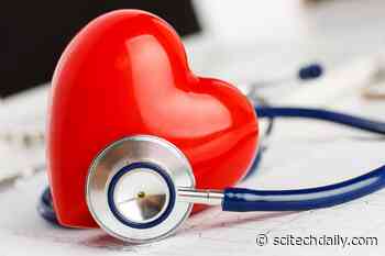 Delicious Foods That Are Good for Your Heart