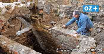 Meeresmuseum Stralsund: Weitere Ausgrabungen, neue Funde - Ostsee Zeitung