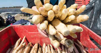 Spargel kaufen in Bonn und Region: Diese Stände verkaufen frischen Spargel - Alle Adressen und Höfe im Überblick - General-Anzeiger Bonn