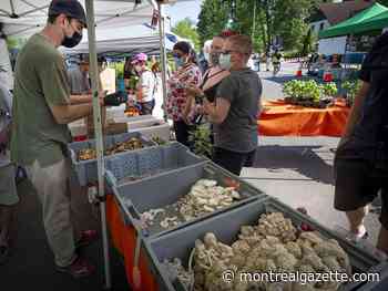 Marché BEAU in Beaconsfield part of West Island and off-island's growing network of seasonal farmers' markets - Montreal Gazette