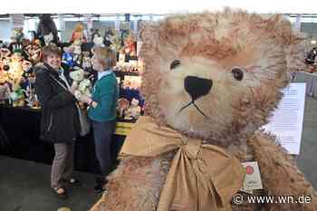 Teddys sind zurück in Münster