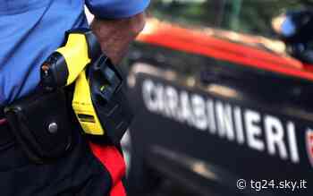 Catania, banda di ladri di auto e natanti: conclusione indagini per 10 - Sky Tg24