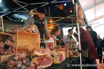 Dax : les immanquables de la nouvelle édition de la Foire expo - Sud Ouest