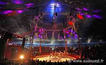 En images. Saint-Paul-lès-Dax (40) : le Festival international du cirque, sur la piste aux étoiles - Sud Ouest