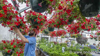 Southwestern Illinois College holds plant sale in Belleville - Belleville News-Democrat