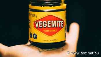 Vegemite and Bega Cheese products to cost more, dairy farmers get a much-needed boost