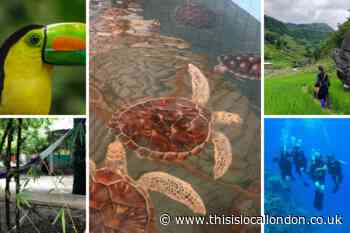Earth Day 2022: the sustainable travel experiences you need to try from Tripadvisor