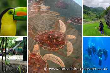 Earth Day 2022: the sustainable travel experiences you need to try from Tripadvisor