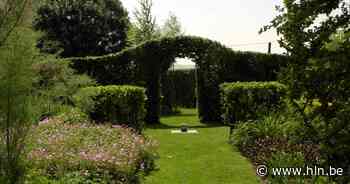 Doe mee aan de vergroeningscampagne van de gemeente Zonhoven en maak van jouw voortuin een ZonHOFje - Het Laatste Nieuws