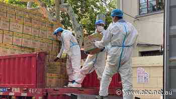 Shanghai promises to improve food supplies, trade amid shutdown