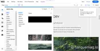 Wix vs WordPress (2022): Which Should You Use for Your Site?