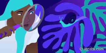 Why Is WordPress Slow? Let’s Figure It Out!