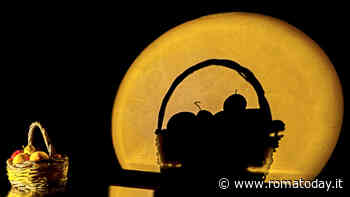 Scatti d'Autore, mostra personale di Francesco Loliva