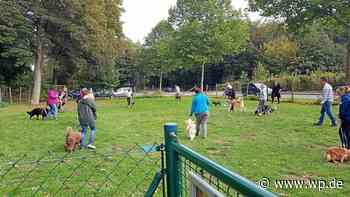Hundesport Olsberg: „Strunzertaler Pfoten“ bitten um Hilfe - WP News