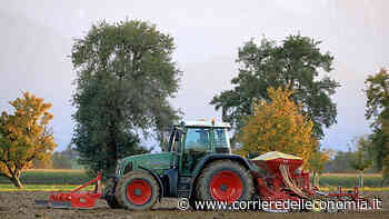 Scuole agrarie: boom di iscrizioni, +36 per cento in due anni - Corriere dell'Economia