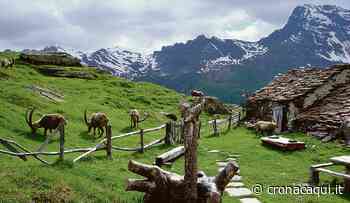 I primi cento anni del parco: la festa comincia da Roma - Cronaca Qui