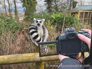 Dudley Zoo needs visitor photos for its next calendar - Express & Star