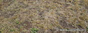 Code geel in natuurgebieden door droogte - Persinfo.org