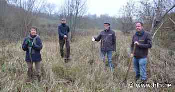 Vzw Durme plant vijf nieuwe voetbalvelden aan bos aan - Het Laatste Nieuws
