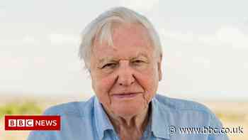 Sir David Attenborough named Champion of the Earth by UN