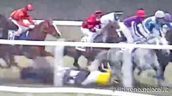 Pisa, fantino morto dopo la caduta in pista: chi sono i 3 commissari di gara sotto processo e le accuse - Il Tirreno