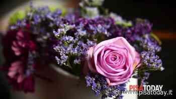 Weekend lungo del 25 aprile: ecco cosa fare a Pisa e provincia - PisaToday