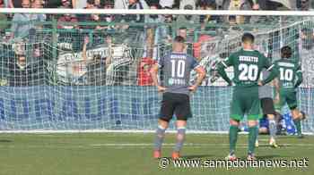 Pisa, Taddei: "Immagine Torregrossa che esulta evidenzia spirito squadra" - Sampdoria News