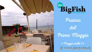 Pranzo del Primo Maggio all'Alba Big Fish - PisaToday
