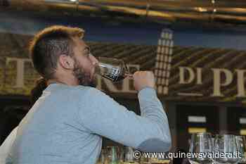 Vino Terre di Pisa Doc, rivoluzione nel disciplinare - Qui News Valdera